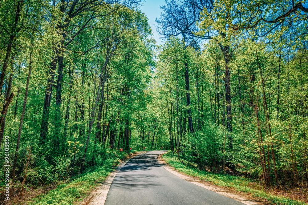 Good Asphalt Forest Road In Sunny Summer Day. Lane Running Throu Good Asphalt Forest Road In Sunny Summer Day. Lane Running Throu
