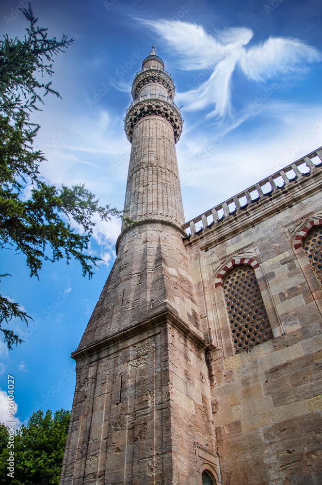 Fototapeta premium mosque