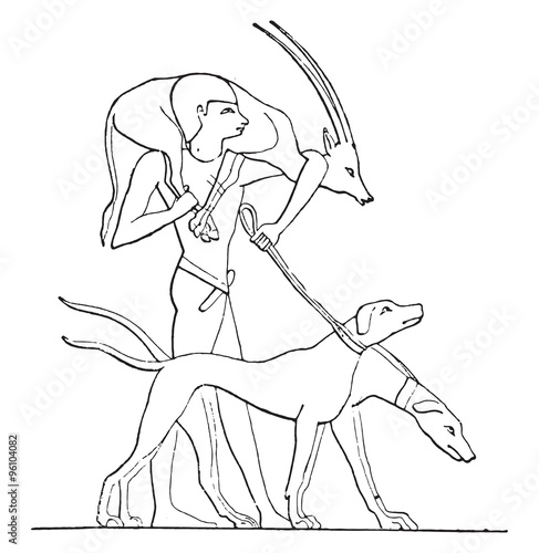 A gazelle hunter, vintage engraving.
