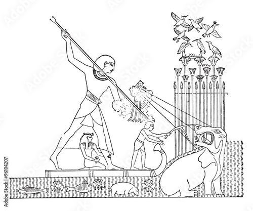 Hippopotamus hunt, vintage engraving.