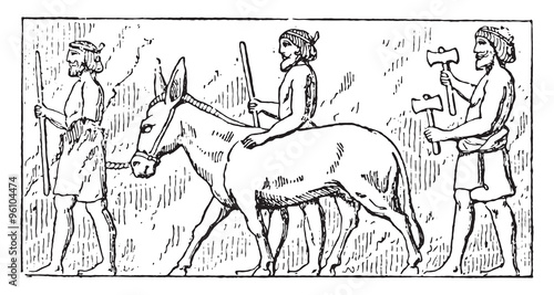 Donkey drivers, vintage engraving.