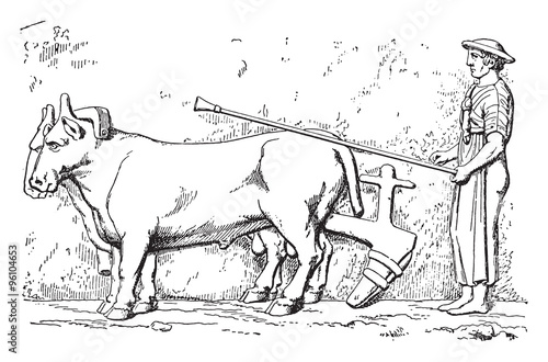 Etruscan plow, vintage engraving.