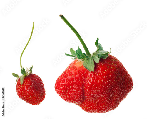 ripe red strawberries with stems and leaves isolated on white ba