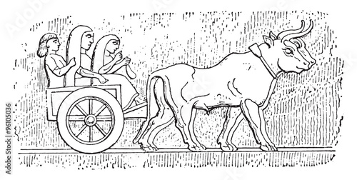 Assyrian cart, vintage engraving.