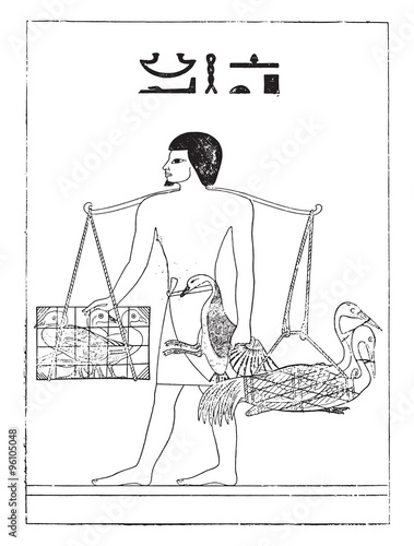 A bird breeder in Egypt, vintage engraving.