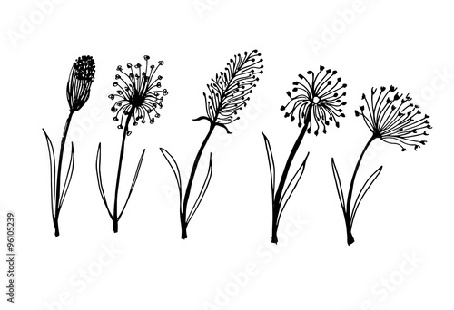 Set of flower doodles flower  