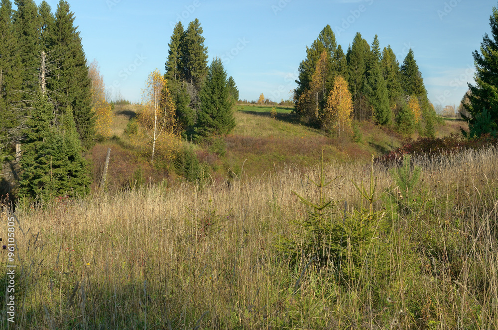 sky forest meadow hills autumn, fall sky forest meadow hills autumn, fall