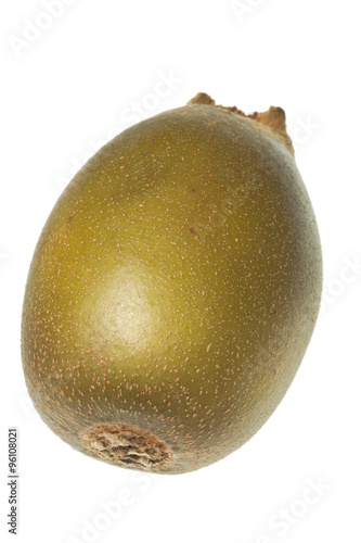 kiwi isolated