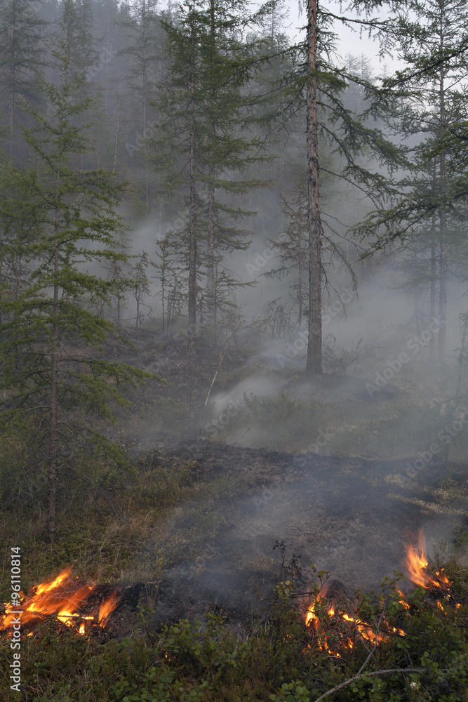 The fire in the forest. Magadan Region. Russia. The fire in the forest. Magadan Region. Russia.