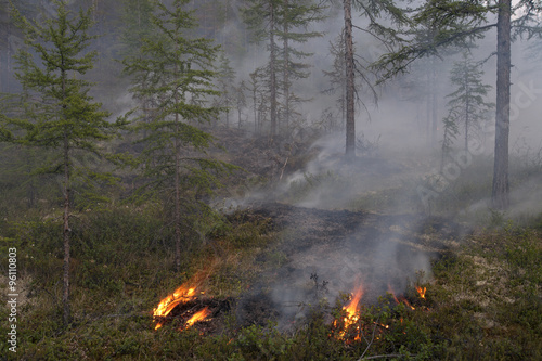 The fire in the forest. Magadan Region. Russia. © olenyok