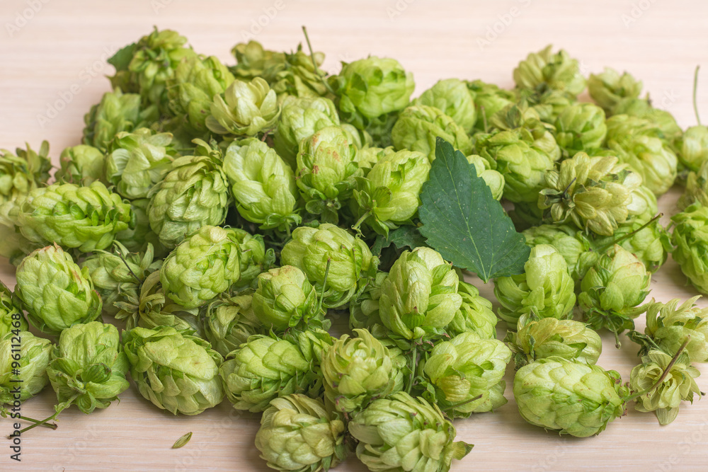 hop cones hop cones