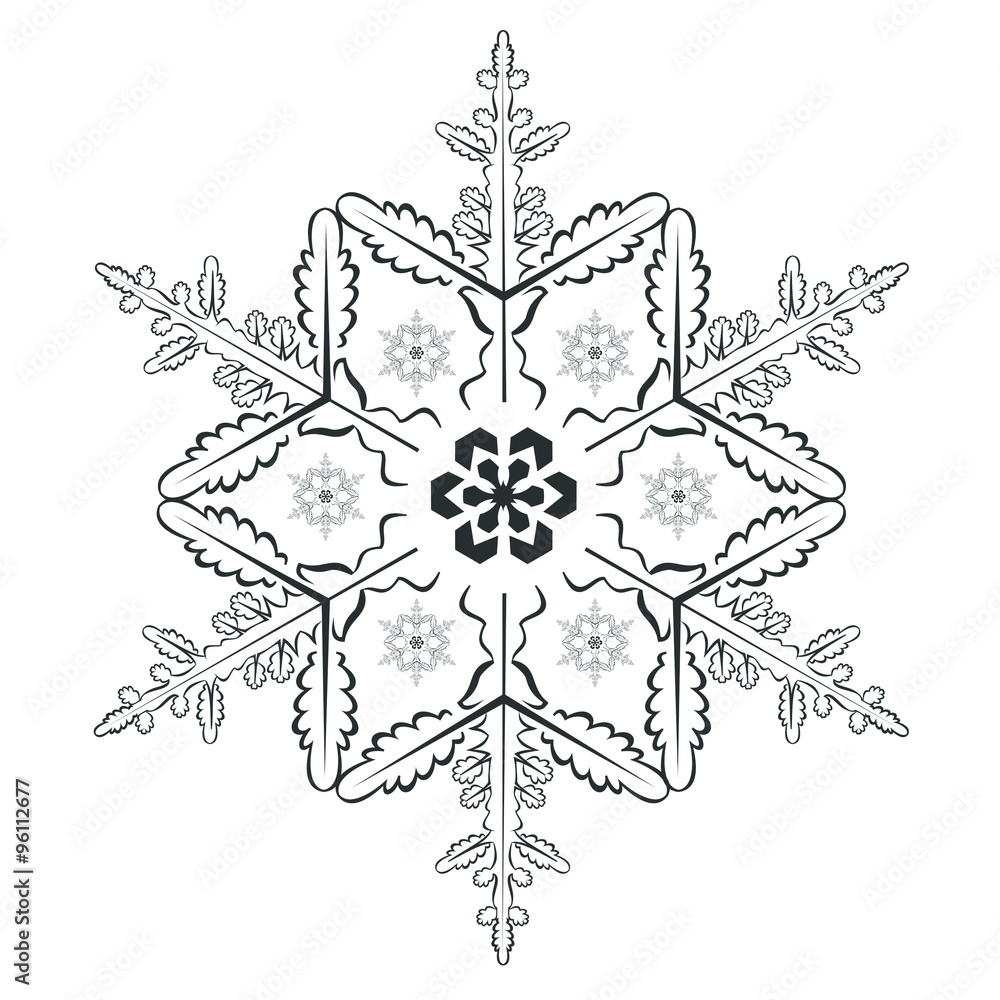 Obraz premium Snowflake
