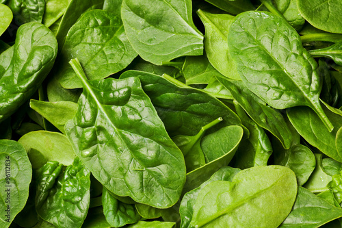 fresh spinach photo