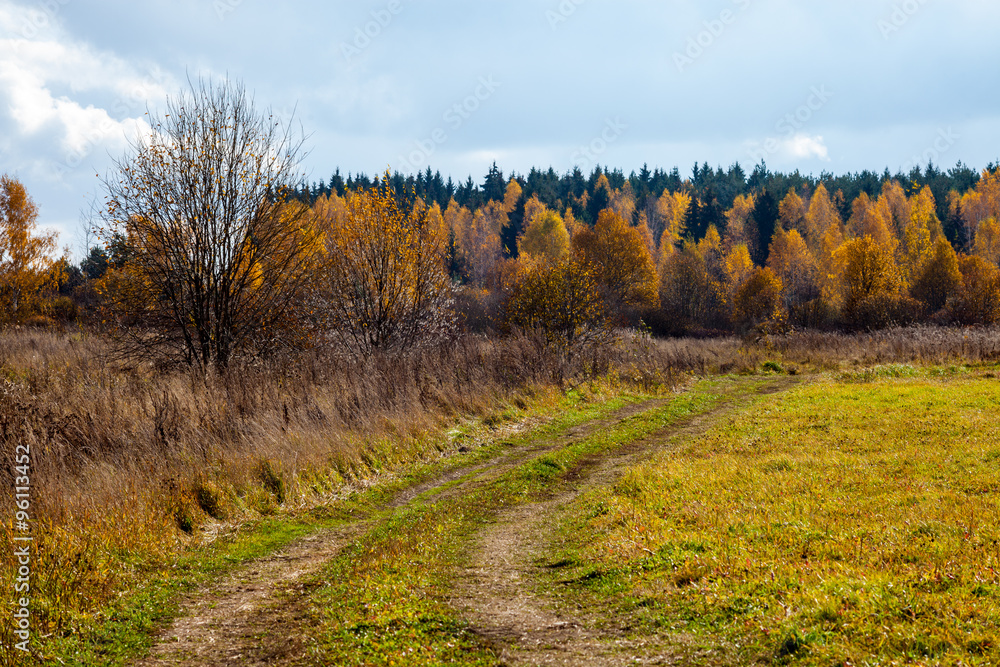 Rural path in a field