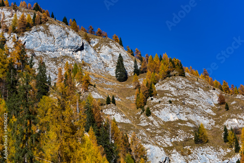 Trentino Alto Adige