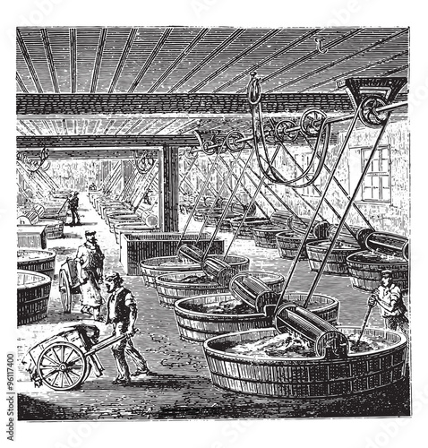 Workshop tanning with sumac, vintage engraving.