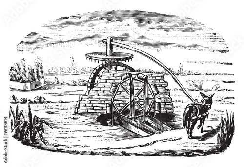 Egyptian Noria, vintage engraving.