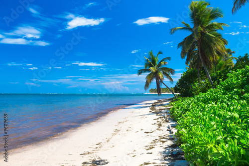 Fototapeta Naklejka Na Ścianę i Meble -  Beautiful caribbean beach in Dominican Republic