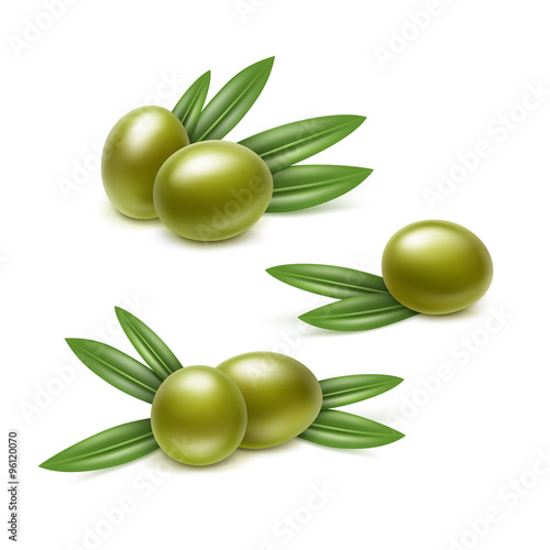 Vector Set of Green Olives Branches with Leaves Isolated on White Background