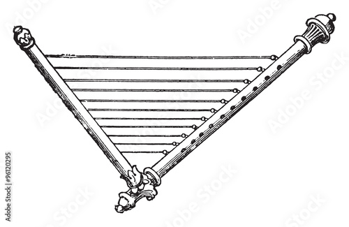 Stringed instrument, vintage engraving.