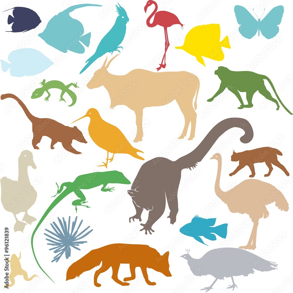 Obraz premium set of colored silhouettes of various animals