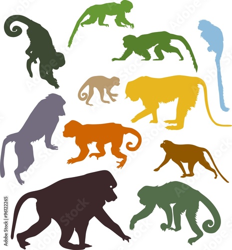 set of colored silhouettes of monkeys