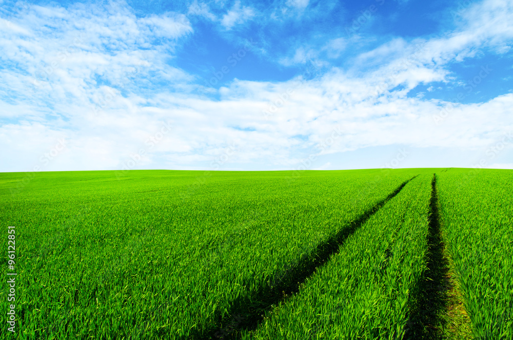 Background image of lush grass field under blue sky Background image of lush grass field under blue sky