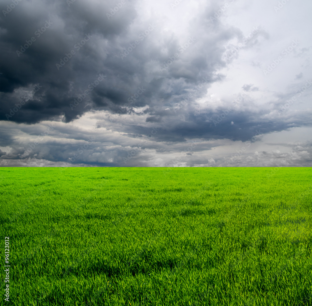 Background image of lush grass field under blue sky