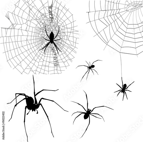 set of silhouettes spiders and spider web