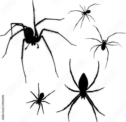 set of silhouettes spiders © kazakovmaksim