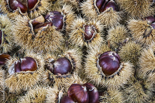 Photos fresh chestnuts