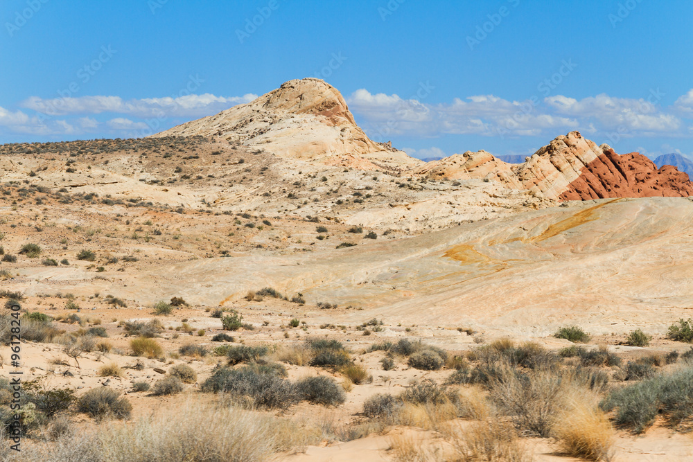Desert in Valley of Fire State Park, South Nevada, USA Desert in Valley of Fire State Park, South Nevada, USA