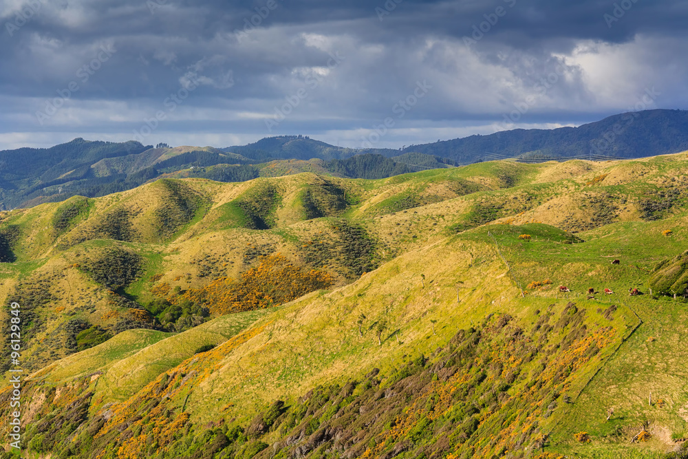 green hills landscape