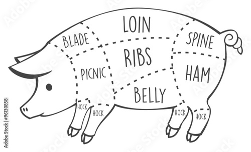 Pork meat cuts