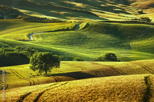 Tuscany spring, rolling hills on sunset. Volterra rural landscap