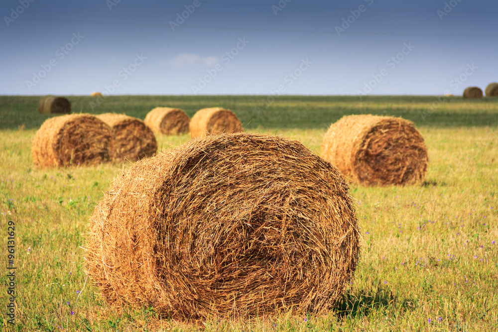 autumn landscape with haystack at the farm