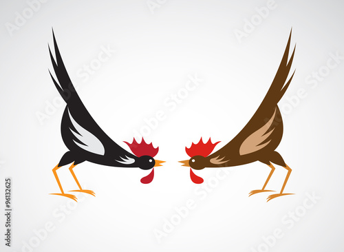 Vector image of an fighting cock on white background