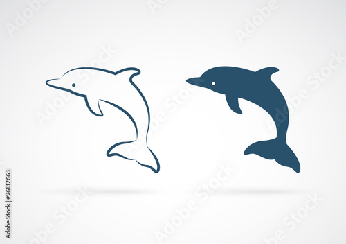 Vector image of an dolphin on white background