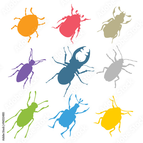 Colorful insects vector biology collection © Vectorvstocker