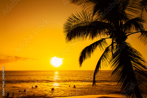 Fototapeta Naklejka Na Ścianę i Meble -  Tropical island sunset with silhouette of palm trees, hot summer day vacation background, golden sky with sun setting over horizon