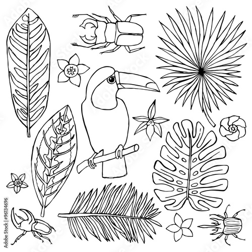 Hand drawn doodle set with toucan and tropical elements