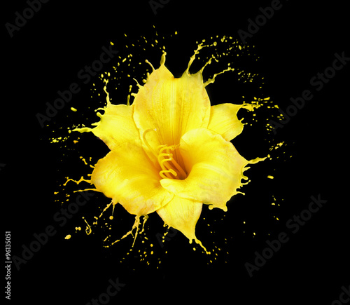yellow flower splashes