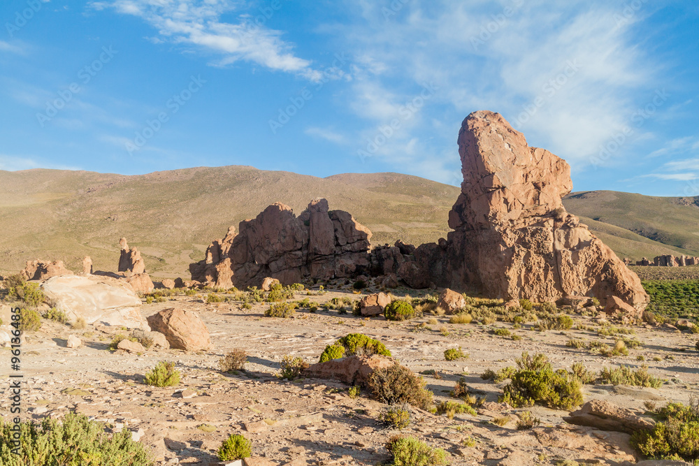 Landscape of bolivian Altiplano Landscape of bolivian Altiplano
