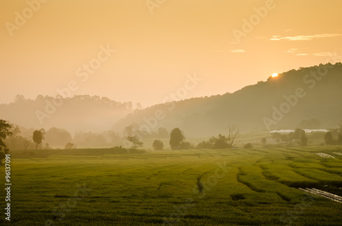 Sunrise at terraced rice field   Mae Kalng Luang   Chiang Mai  