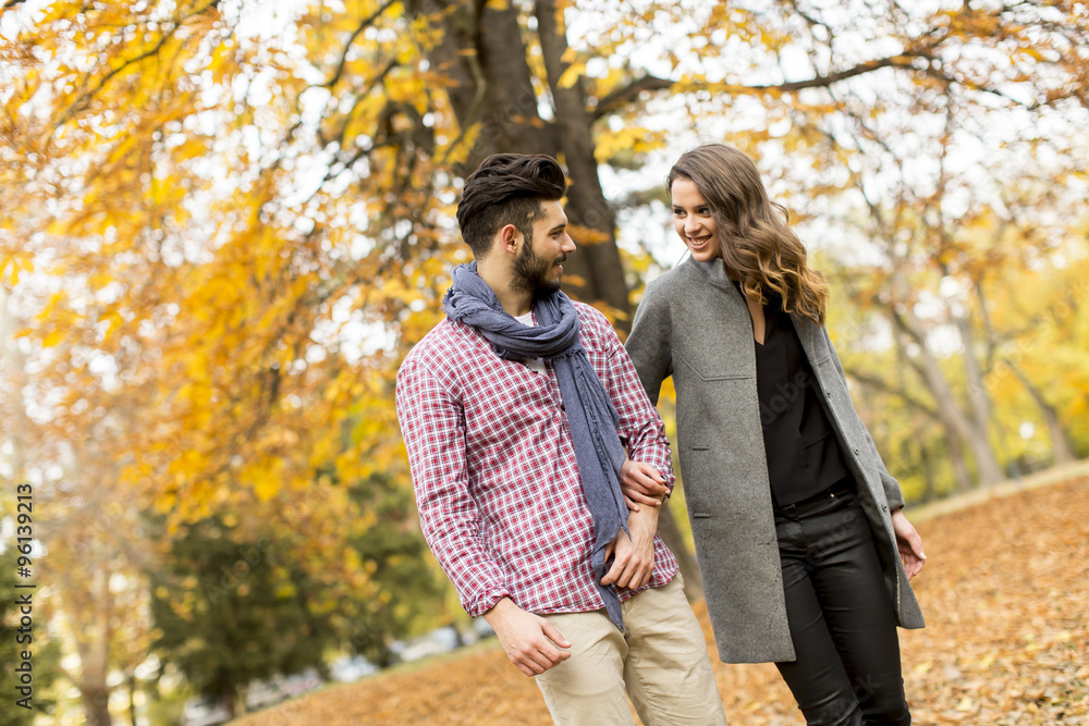 Young couple in the autumn park Young couple in the autumn park