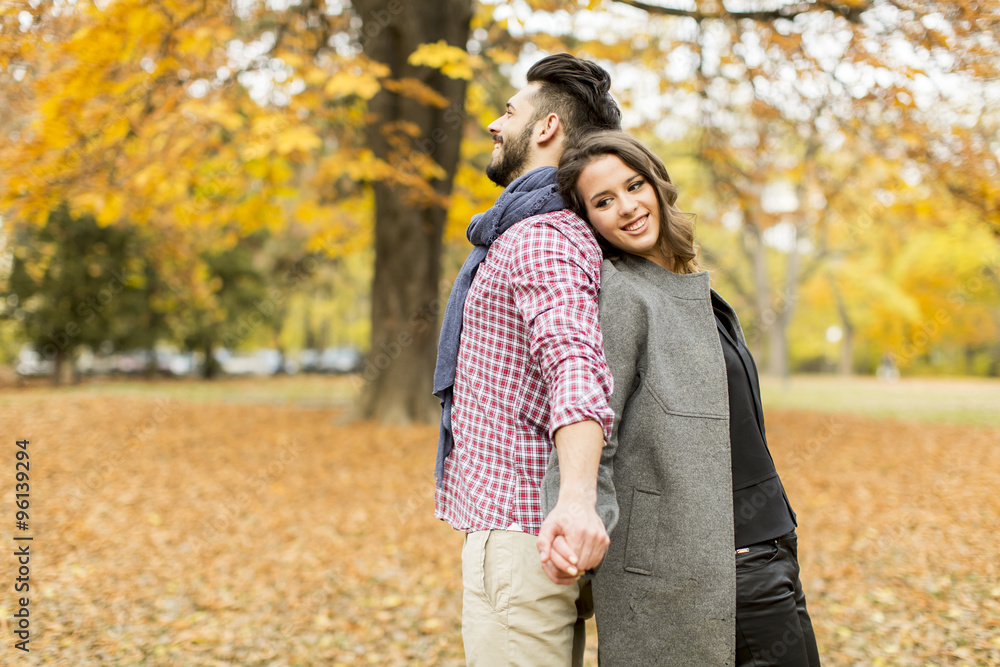 Young couple in the autumn park Young couple in the autumn park