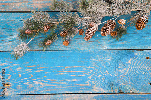 Christmas background with fir branches