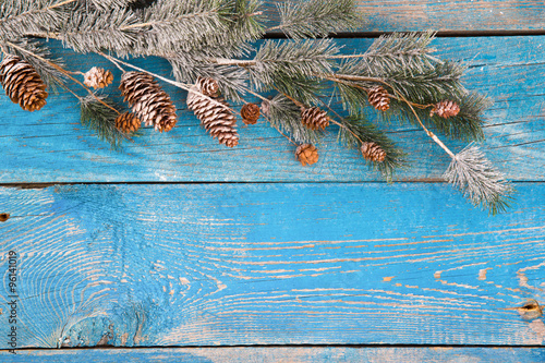 Christmas background with fir branches