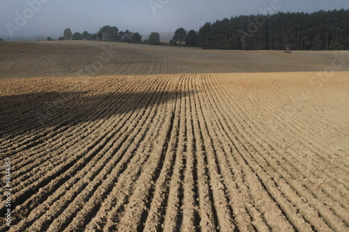 Spätsommer in Brandenburg, nach der Ernte ist vor der Ernte, frisch gepflügtes Feld in der Uckermark