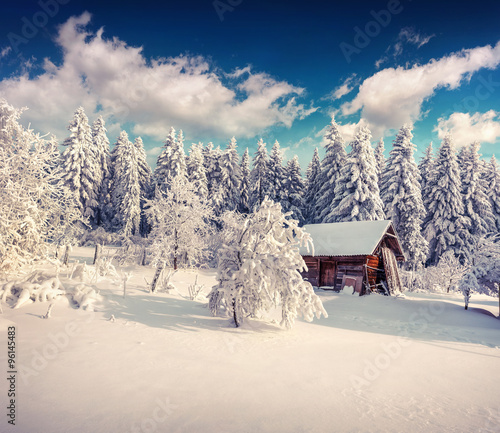 Sunny winter landscape in the mountain forest